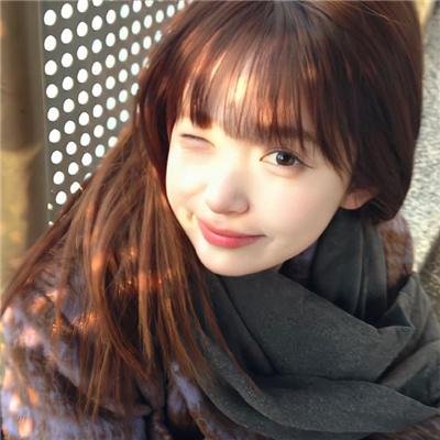 科搜研之女 第20季